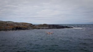 Swimming in the Baltic