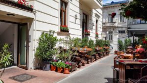 Vatra Restaurant 3