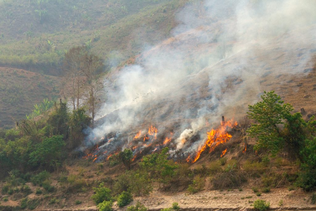 Jungle Fires Along the Mekong